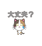 三毛猫「ナナシ」のスタンプ（個別スタンプ：24）