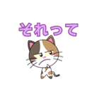 三毛猫「ナナシ」のスタンプ（個別スタンプ：25）