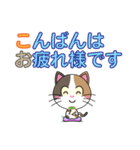 三毛猫「ナナシ」のスタンプ（個別スタンプ：31）