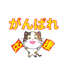 三毛猫「ナナシ」のスタンプ（個別スタンプ：36）