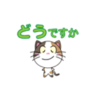 三毛猫「ナナシ」のスタンプ（個別スタンプ：39）