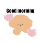 毎日つかえる愛おしいプードル（個別スタンプ：1）
