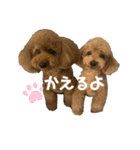 こむぎときなこ  ①（個別スタンプ：10）
