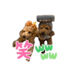 こむぎときなこ  ①（個別スタンプ：14）