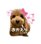 こむぎときなこ  ①（個別スタンプ：31）