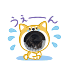 Myにゃんズ～⁠>⁠`⁠)⁠～⁠～⁠～（個別スタンプ：2）