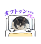 Myにゃんズ～⁠>⁠`⁠)⁠～⁠～⁠～（個別スタンプ：4）