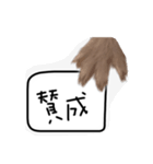 いろんなすたんぷ(白とクロ他)（個別スタンプ：16）