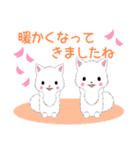ちび白モフ16【春】（個別スタンプ：17）
