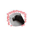大切なうちの猫（個別スタンプ：3）