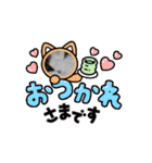 大切なうちの猫（個別スタンプ：16）