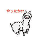 アルパカさんの気持ち（個別スタンプ：13）