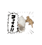 動くベルゆき（個別スタンプ：1）