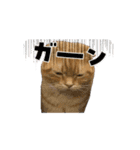 動くベルゆき（個別スタンプ：3）
