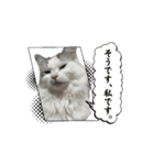 動くベルゆき（個別スタンプ：4）