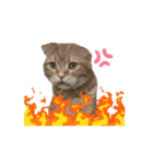 動くベルゆき（個別スタンプ：6）