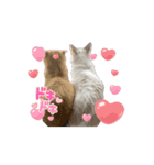 動くベルゆき（個別スタンプ：11）