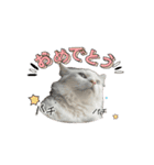 動くベルゆき（個別スタンプ：16）