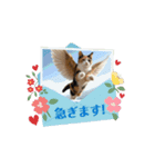 動く猫＊T家O 家とA I三毛（個別スタンプ：7）