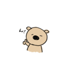 ぶたこあら（個別スタンプ：1）