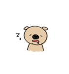 ぶたこあら（個別スタンプ：5）