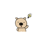 ぶたこあら（個別スタンプ：10）