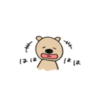 ぶたこあら（個別スタンプ：12）