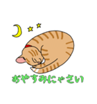 人間味あふれる、トラコちゃん。（個別スタンプ：4）