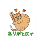 人間味あふれる、トラコちゃん。（個別スタンプ：11）