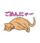 人間味あふれる、トラコちゃん。（個別スタンプ：12）