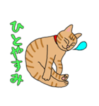 人間味あふれる、トラコちゃん。（個別スタンプ：13）