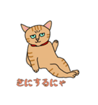 人間味あふれる、トラコちゃん。（個別スタンプ：15）