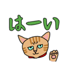 人間味あふれる、トラコちゃん。（個別スタンプ：16）