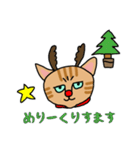 人間味あふれる、トラコちゃん。（個別スタンプ：24）