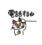 毎日楽しんでいる猫たち。（個別スタンプ：5）