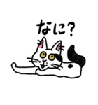 毎日楽しんでいる猫たち。（個別スタンプ：11）