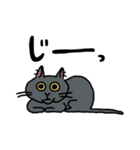 毎日楽しんでいる猫たち。（個別スタンプ：12）