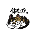 毎日楽しんでいる猫たち。（個別スタンプ：13）