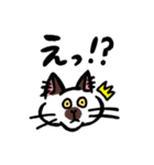 毎日楽しんでいる猫たち。（個別スタンプ：15）