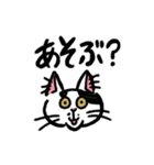 毎日楽しんでいる猫たち。（個別スタンプ：16）
