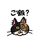 毎日楽しんでいる猫たち。（個別スタンプ：17）