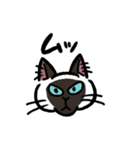 毎日楽しんでいる猫たち。（個別スタンプ：18）