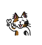 毎日楽しんでいる猫たち。（個別スタンプ：21）