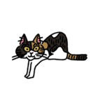 毎日楽しんでいる猫たち。（個別スタンプ：22）