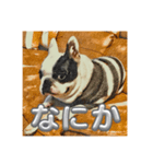 てんつくの日常3（個別スタンプ：1）