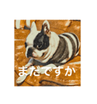 てんつくの日常3（個別スタンプ：3）