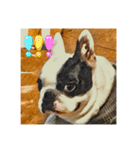 てんつくの日常3（個別スタンプ：4）
