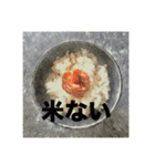 てんつくの日常3（個別スタンプ：8）