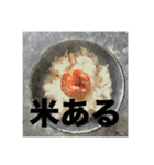 てんつくの日常3（個別スタンプ：9）