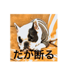 てんつくの日常3（個別スタンプ：19）